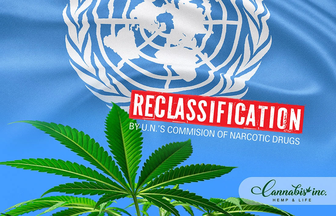 Ιστορική απόφαση ΟΗΕ: Η κάνναβη δεν ανήκει πλέον στα «επικίνδυνα ναρκωτικά»