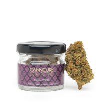 CBD FLOWER CANNCURE COLECTIVE – Founding Father, 2g