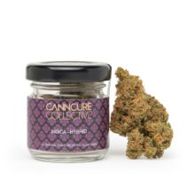 CBD FLOWER CANNCURE COLECTIVE – Founding Father, 12g