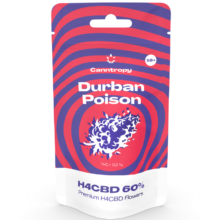Canntropy H4CBD Flower Durban Poison 60 %